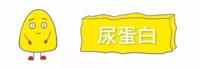 科普｜体检报告单那些名词儿看不懂？那就用这些漫画来搞明白它！