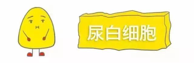 科普｜体检报告单那些名词儿看不懂？那就用这些漫画来搞明白它！