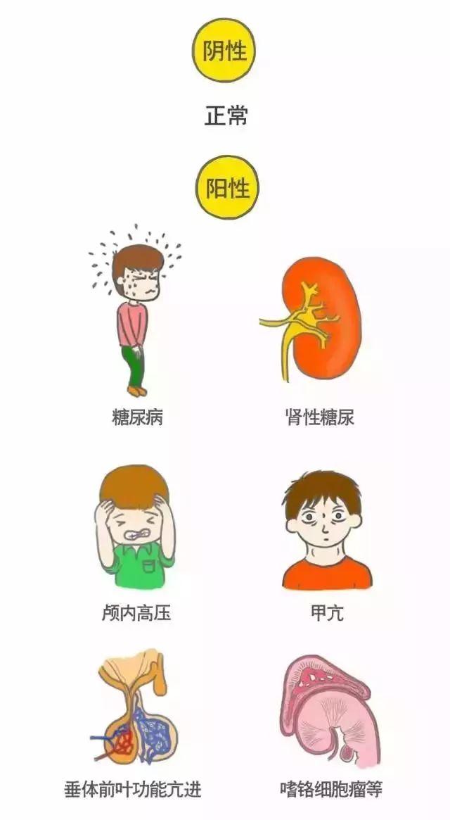 科普｜体检报告单那些名词儿看不懂？那就用这些漫画来搞明白它！