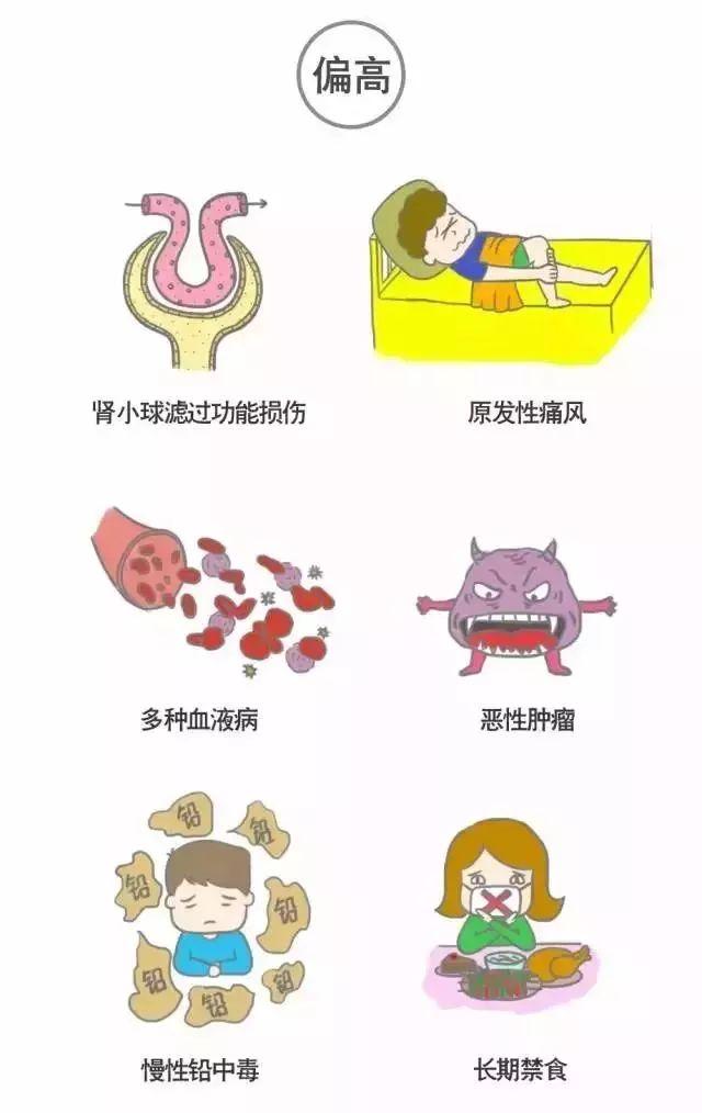 科普｜体检报告单那些名词儿看不懂？那就用这些漫画来搞明白它！