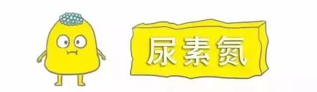 科普｜体检报告单那些名词儿看不懂？那就用这些漫画来搞明白它！