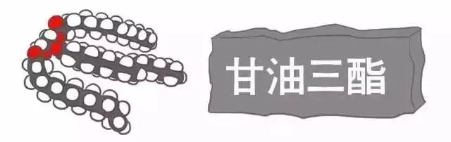 科普｜体检报告单那些名词儿看不懂？那就用这些漫画来搞明白它！