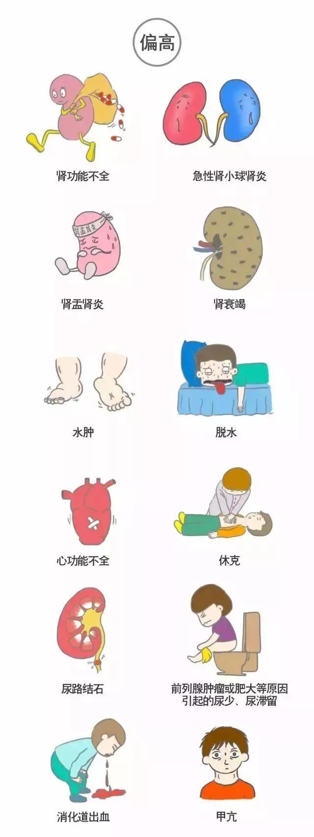 科普｜体检报告单那些名词儿看不懂？那就用这些漫画来搞明白它！