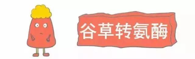 科普｜体检报告单那些名词儿看不懂？那就用这些漫画来搞明白它！