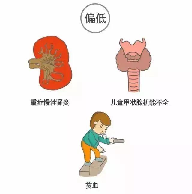 科普｜体检报告单那些名词儿看不懂？那就用这些漫画来搞明白它！