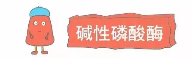 科普｜体检报告单那些名词儿看不懂？那就用这些漫画来搞明白它！