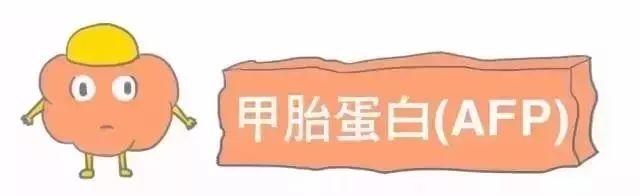 科普｜体检报告单那些名词儿看不懂？那就用这些漫画来搞明白它！