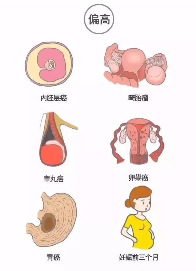 科普｜体检报告单那些名词儿看不懂？那就用这些漫画来搞明白它！