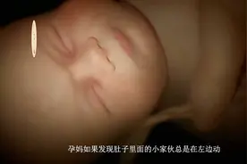 怀孕期间，胎宝为什么左边动得多？看完忍不住想笑