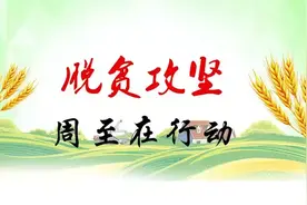 陕西表彰2017年度脱贫攻坚工作先进单位和个人，周至获了这些奖图片