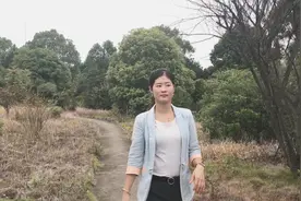 一首《伤不起》非常好听，火了几十年！