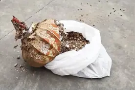 四川：阳台上的巨型毒蜂窝 原来竟是灯笼！消防全副武装取蜂窝视频封面