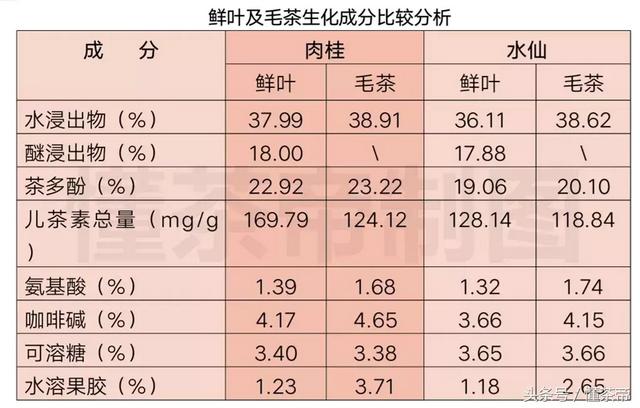 岩茶为什么“香不过肉桂，醇不过水仙”？爱喝茶的你一定要知道！