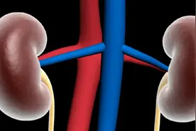 单侧肾脏萎缩咋回事？影不影响正常生活？会导致身体哪些变化？视频封面