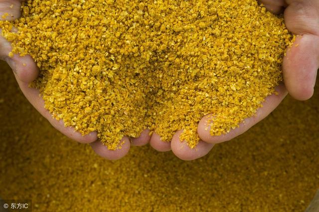 豆粕价格居高不下将推动低蛋白日粮研发？