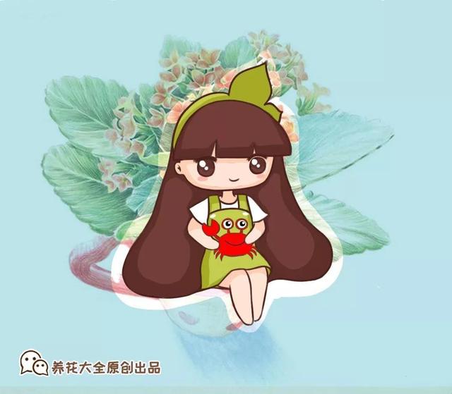 吃剩的海鲜壳可别扔，铺一层在盆底，长寿花长满花骨朵！