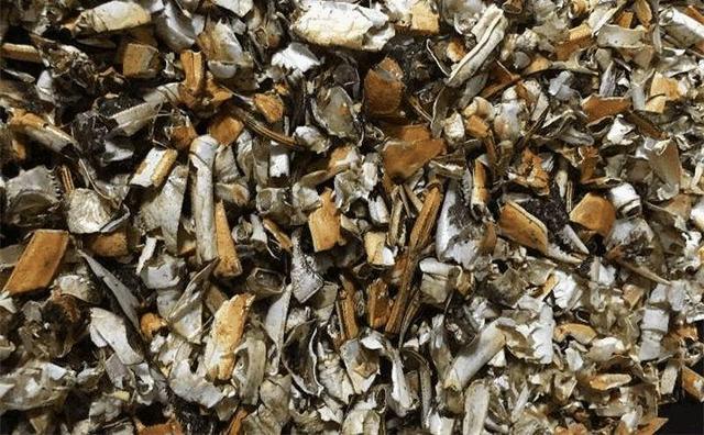 吃剩的海鲜壳可别扔，铺一层在盆底，长寿花长满花骨朵！