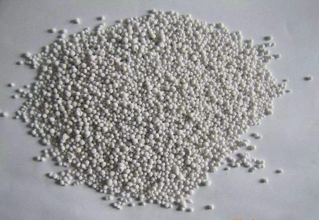 吃剩的海鲜壳可别扔，铺一层在盆底，长寿花长满花骨朵！