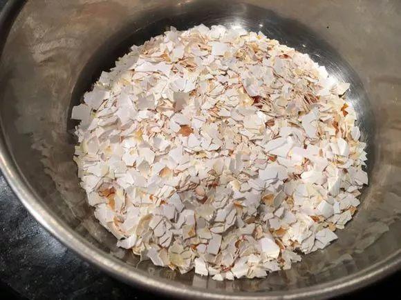 吃剩的海鲜壳可别扔，铺一层在盆底，长寿花长满花骨朵！