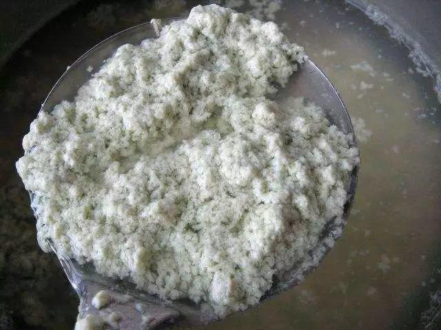 吃剩的海鲜壳可别扔，铺一层在盆底，长寿花长满花骨朵！