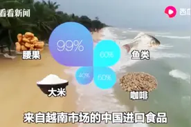 进口博览会主宾国①：中国99%的进口腰果都来自越南这个国家！视频封面
