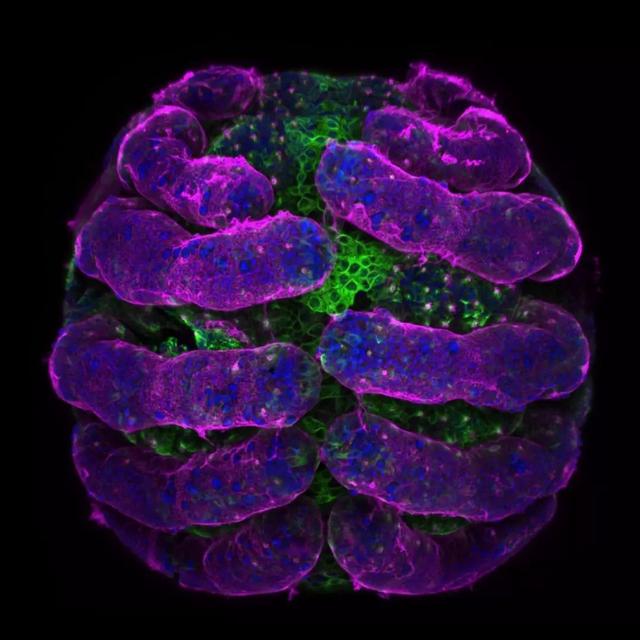 在你视线之内你却永远无法看到的宇宙：20张美到飙泪的照片！