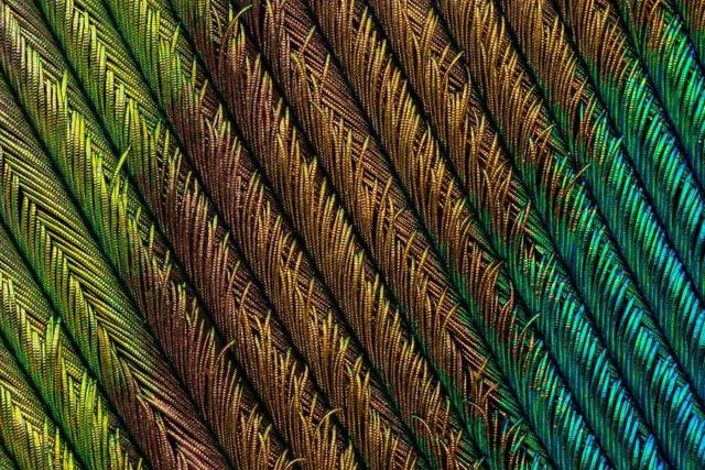 在你视线之内你却永远无法看到的宇宙：20张美到飙泪的照片！