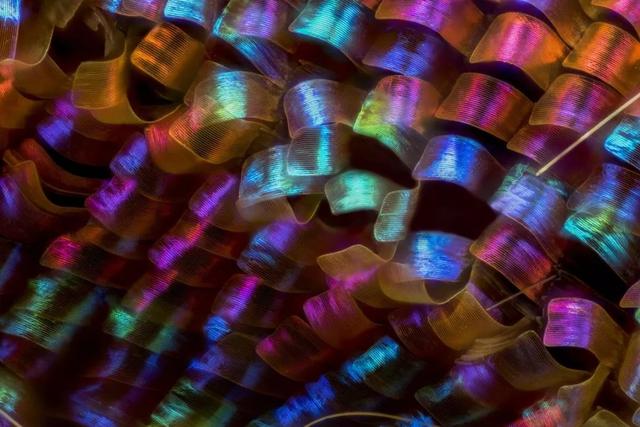 在你视线之内你却永远无法看到的宇宙：20张美到飙泪的照片！