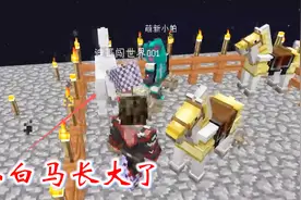 我的世界联机空岛生存33：倔强的小白马，怎么都不让我骑在它身上