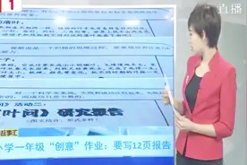 一年级小学生的“创意作业” 要写12页报告视频封面