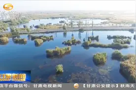 甘肃省发布总河长1号令开展河湖“清四乱”专项整治行动视频封面