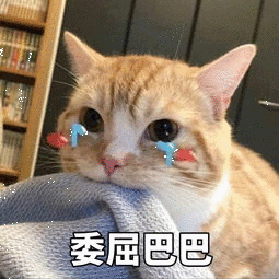 玄枵、娵訾、降娄、鹑首……中国版12星座了解一下