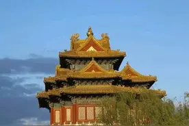 世界上有趣的奇葩规定图片