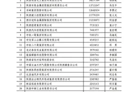 围观！12月24日 2020陕西百强企业和2020陕西民营50强企业新鲜出炉图片