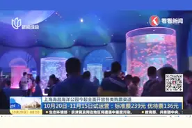 10月20日-11月15日试运营！上海海昌海洋公园全面开放购票渠道