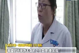 瘆人！男婴接触宠物致眼睛不适，医生手术取出了11条寄生虫视频封面