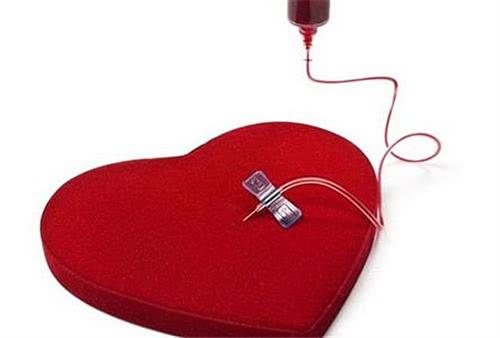 狗狗贫血怎么办？宠主切记不能盲目补血，分清病因是关键