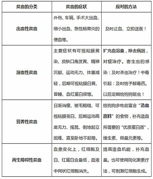 狗狗贫血怎么办？宠主切记不能盲目补血，分清病因是关键