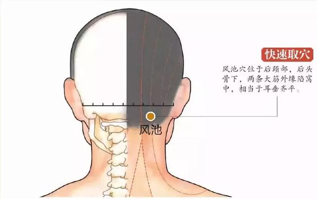30个常见疾病特效穴位大全,超级实用的中医知识,收藏起来吧