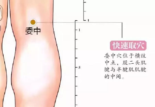 30个常见疾病特效穴位大全,超级实用的中医知识,收藏起来吧