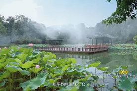 疫情过后，郫都欢迎全世界图片