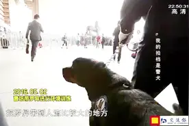 防暴犬环境训练时 进宠物店看宠物美容 带犬民警：感觉见了世面！