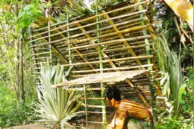 原始技术：越南小哥荒野建造一个竹屋！视频封面