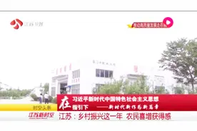 江苏乡村振兴见实效，农村呈现新面貌，农民喜增获得感视频封面