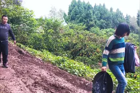 山东小伙跟女友回四川老家，看到农村的山路，不知怎么下脚视频封面