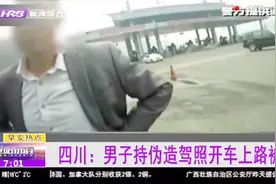 男子驾驶证上有猫腻 民警用警务通一查露真相 花600元买的假证视频封面