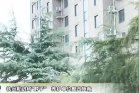 铁丝勒进树“脖子”养护单位整改施救视频封面