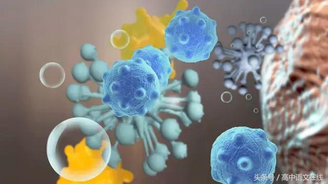 绝对纯干货｜高中生物重点知识记忆口诀大汇总