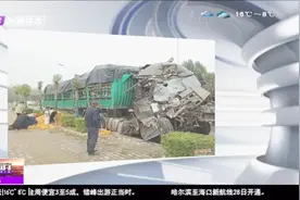 载橘货车追尾 贱卖橘子却遭哄抢 损失10多万 车主疼的当场大哭视频封面