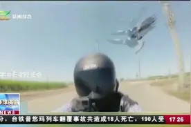 喜鹊狂追摩托车手，还啄男子头部，究竟是怎么一回事？视频封面